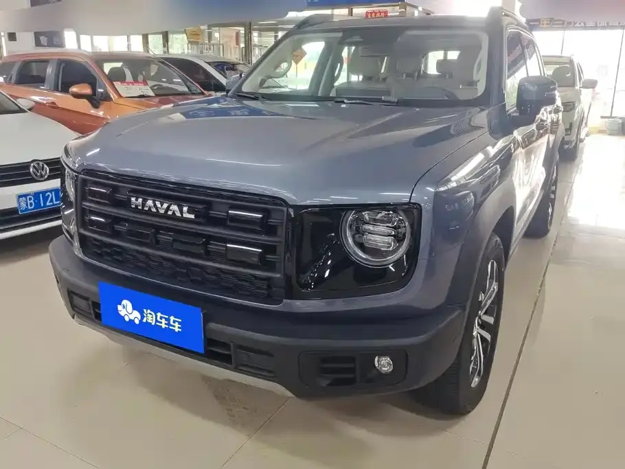 Haval Big Dog 1.5T DCT Border Collie Edition 2025