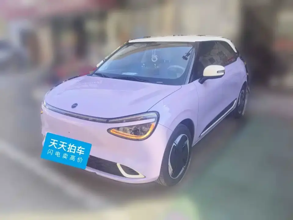 Dongfeng Yipai Nano 01 Renewal Edition 330 Plus Smart+ 2024