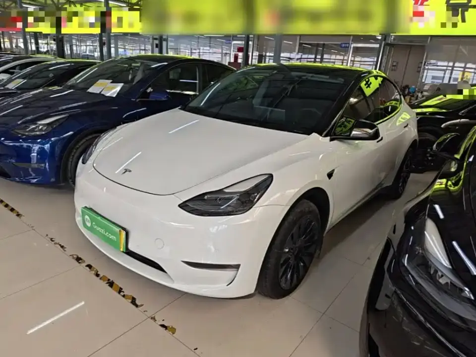 Tesla Model Y Standard Range Rear-Wheel Drive 2021