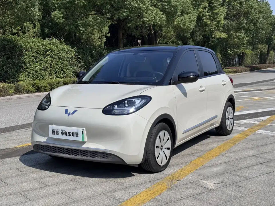 Wuling Motors Wuling Bingo Model 203km Lite Enjoyment Edition 2023