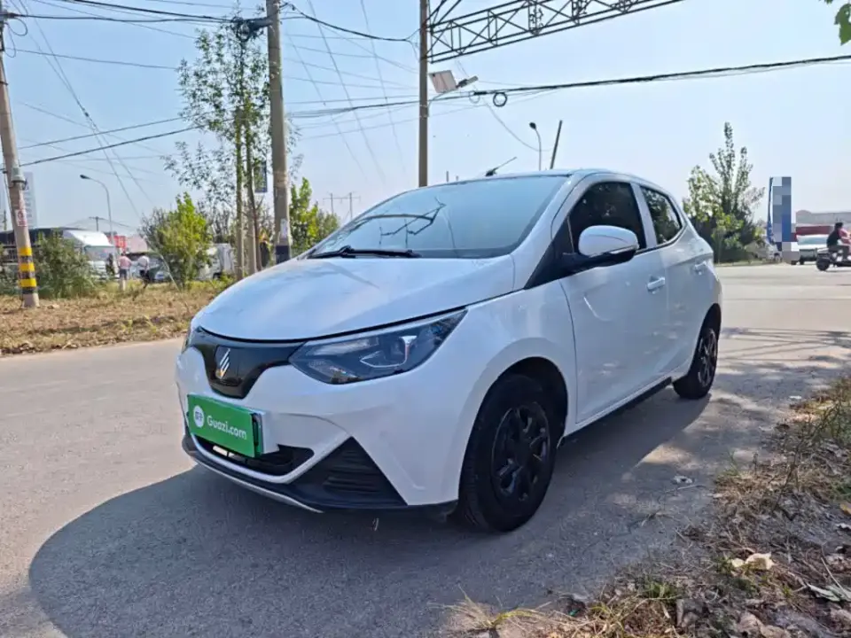 JMCG New Energy Little Kirin Model Lucky Edition 201km Comfort 2024