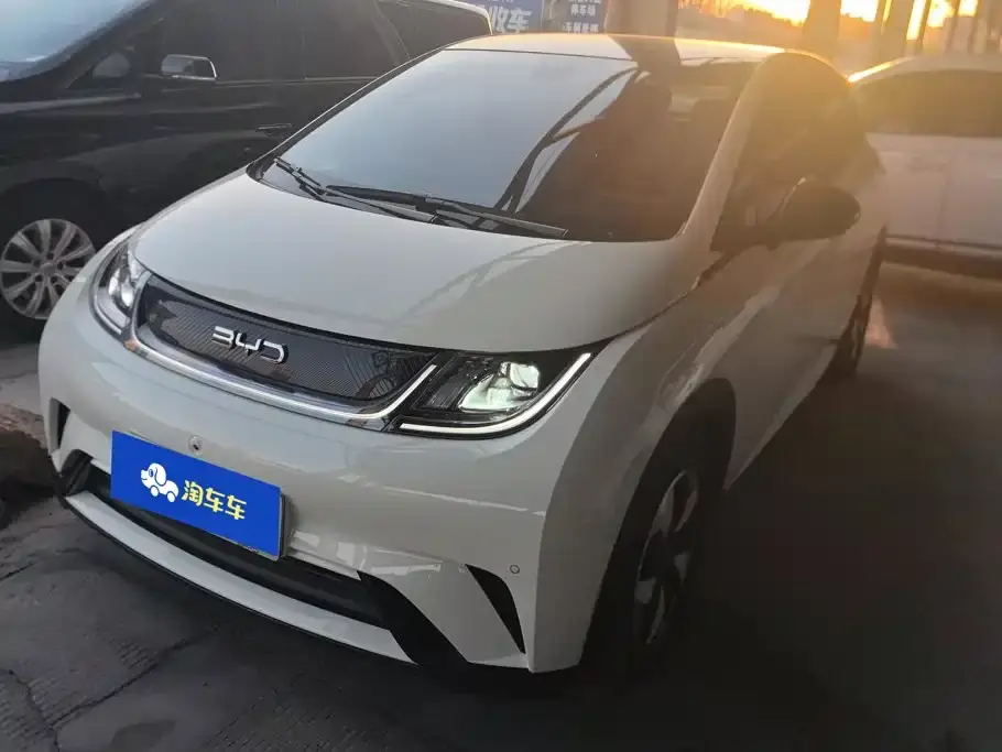 BYD Dolphin Glory Edition 420km Fashion Edition 2024