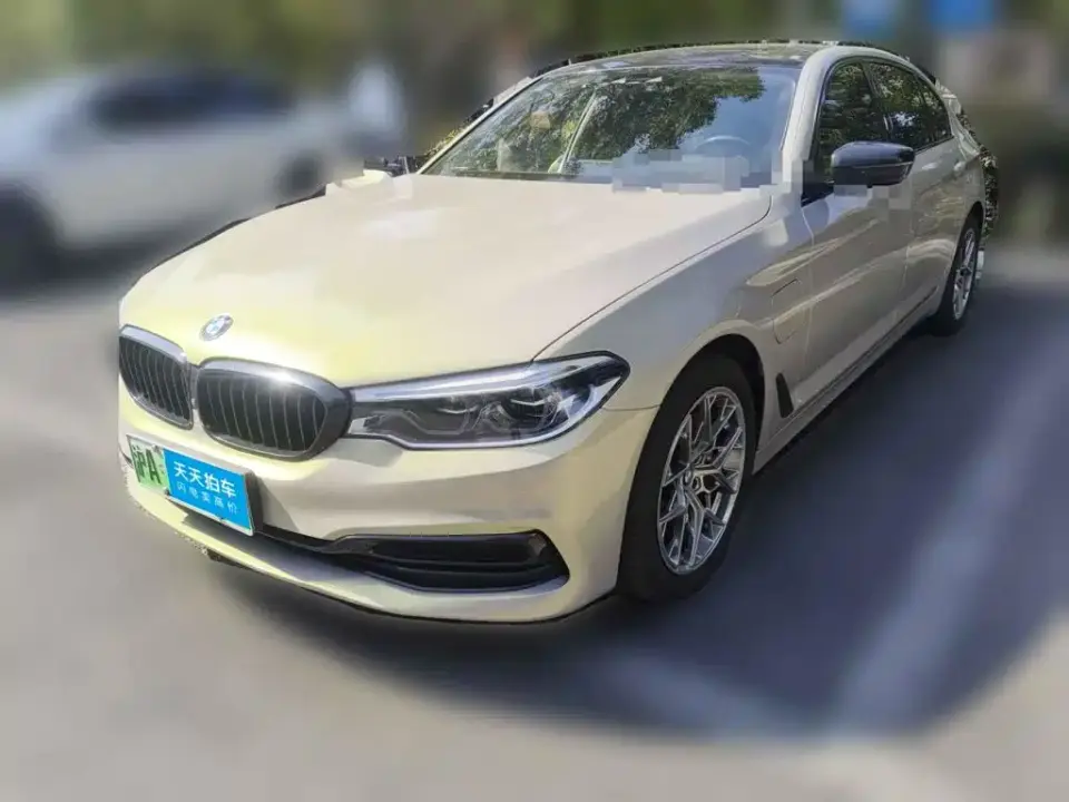 BMW 5 Series New Energy Facelift 530Le Luxury Package 2020