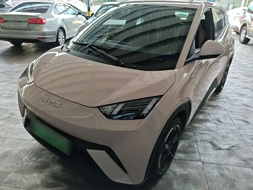 BYD Seagull Glory Edition 305km Freedom Edition 2024