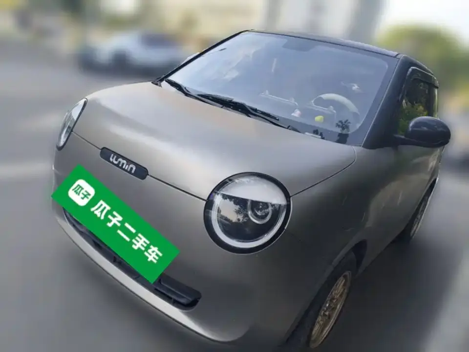 Changan Qiyuan Changan Lumin Model 205km Fragrant Edition 2024