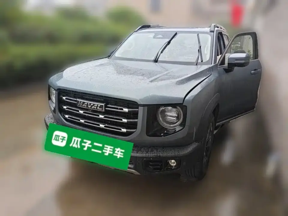 Haval Big Dog 2.0T DCT 4WD Chinese Rural Dog Edition 2021