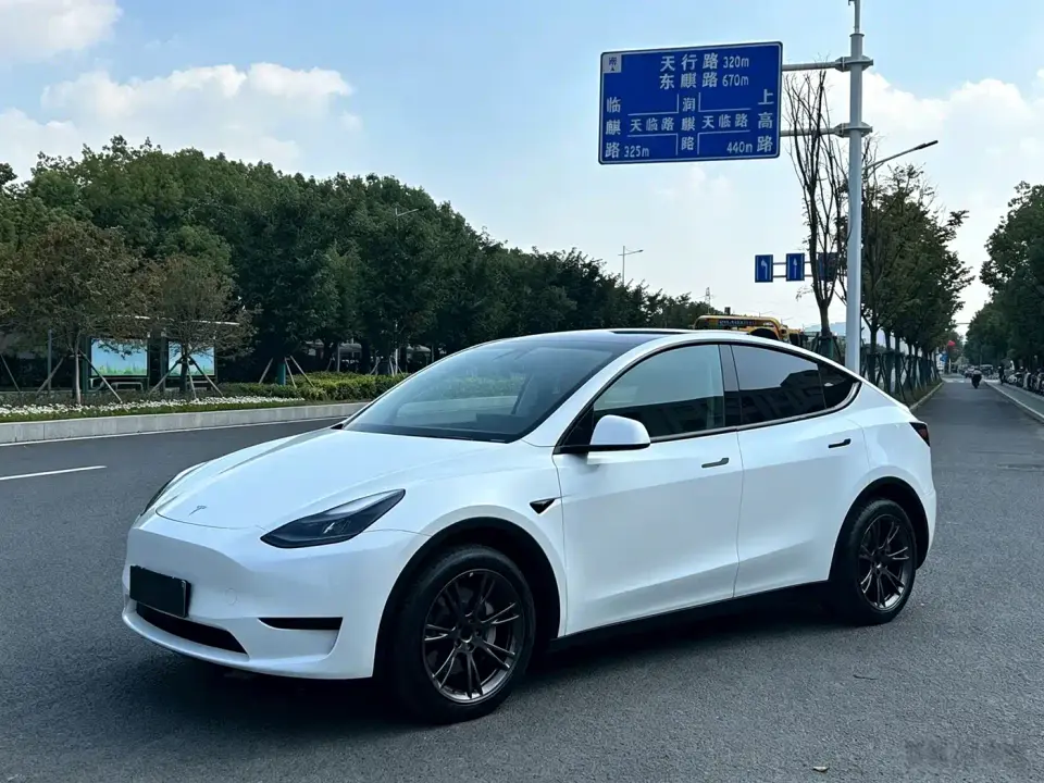 Tesla Model Y Rear-Wheel Drive Version 2024