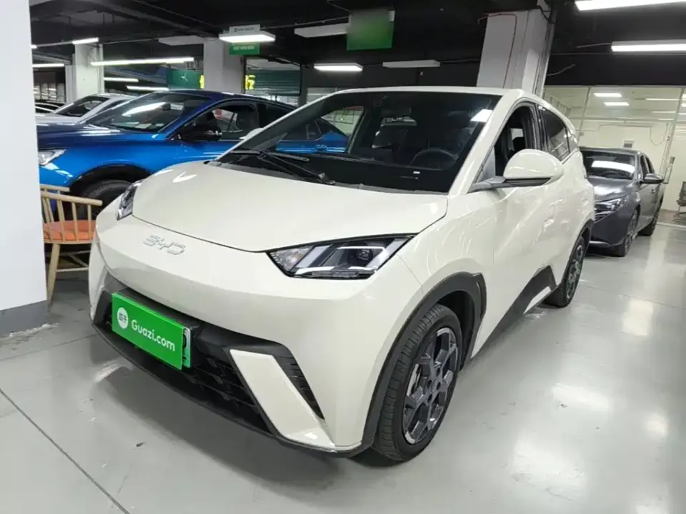 BYD Seagull 305km Freedom 2024