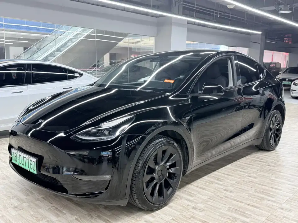 Tesla Model Y Model Long Range AWD 2021