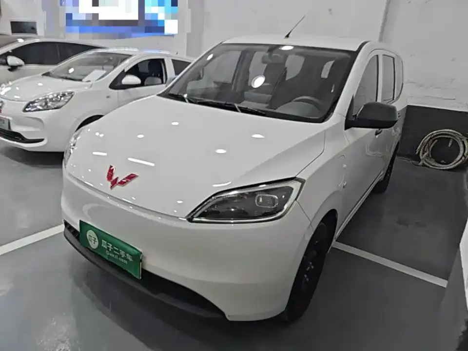 Wuling Motors Wuling Hongguang New Energy Model Pure Electric 300KM Utility Version 2024