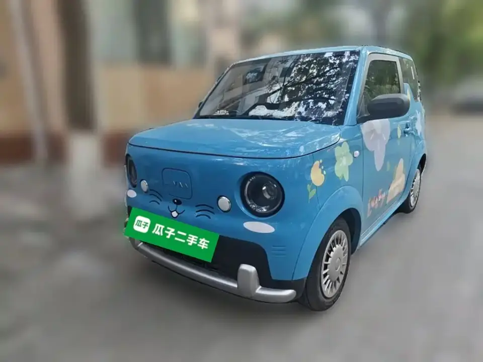 Ruilan Auto Ruilan Blue Elf Base Model 2025