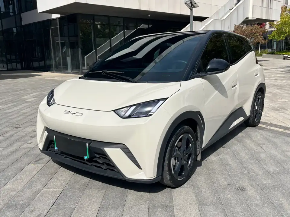 BYD Seagull Freedom Edition 2023
