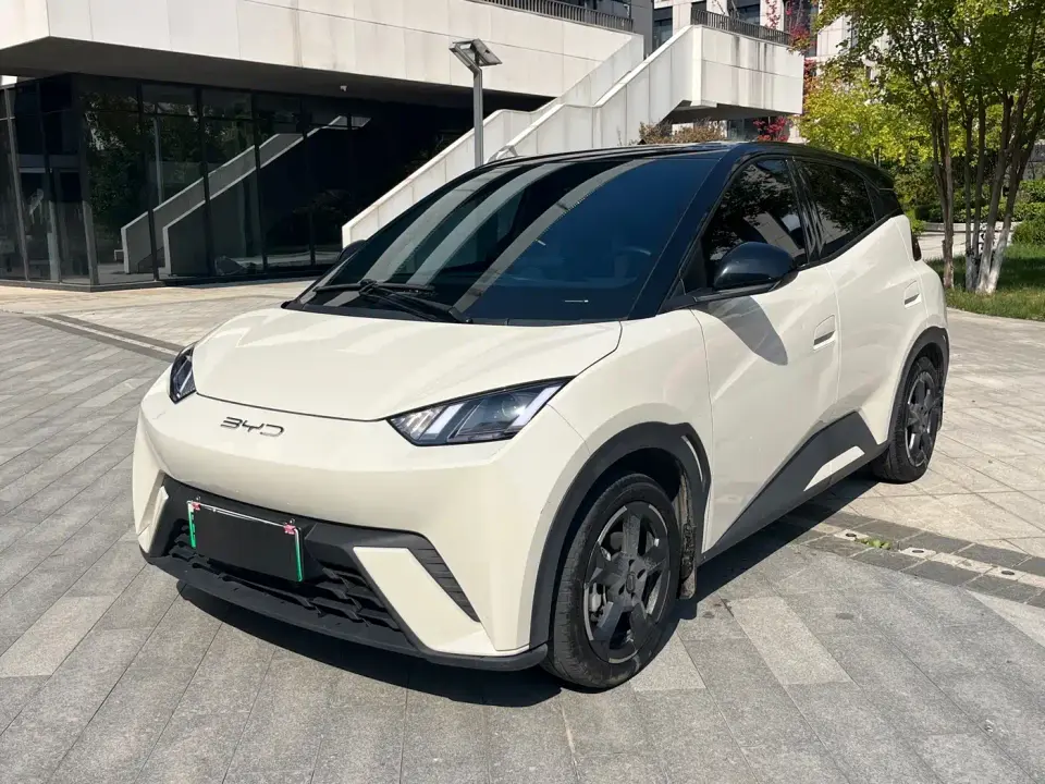 BYD Seagull Freedom Edition 2023