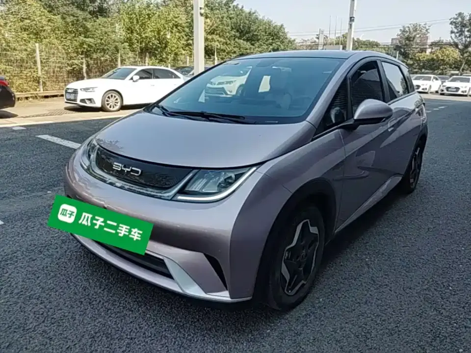 BYD Dolphin Model 405km Fashion Edition 2022