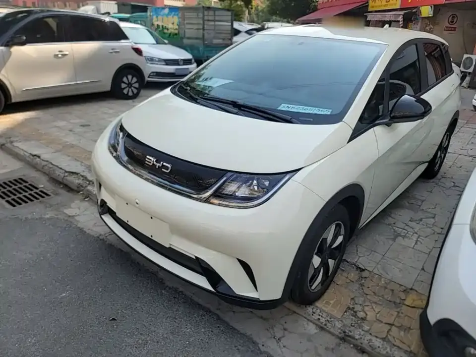 BYD Dolphin 420km Freedom Edition 2026