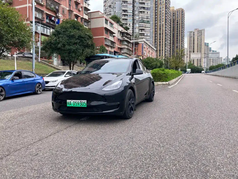 Tesla Model Y Standard Range Rear-Wheel Drive 2021