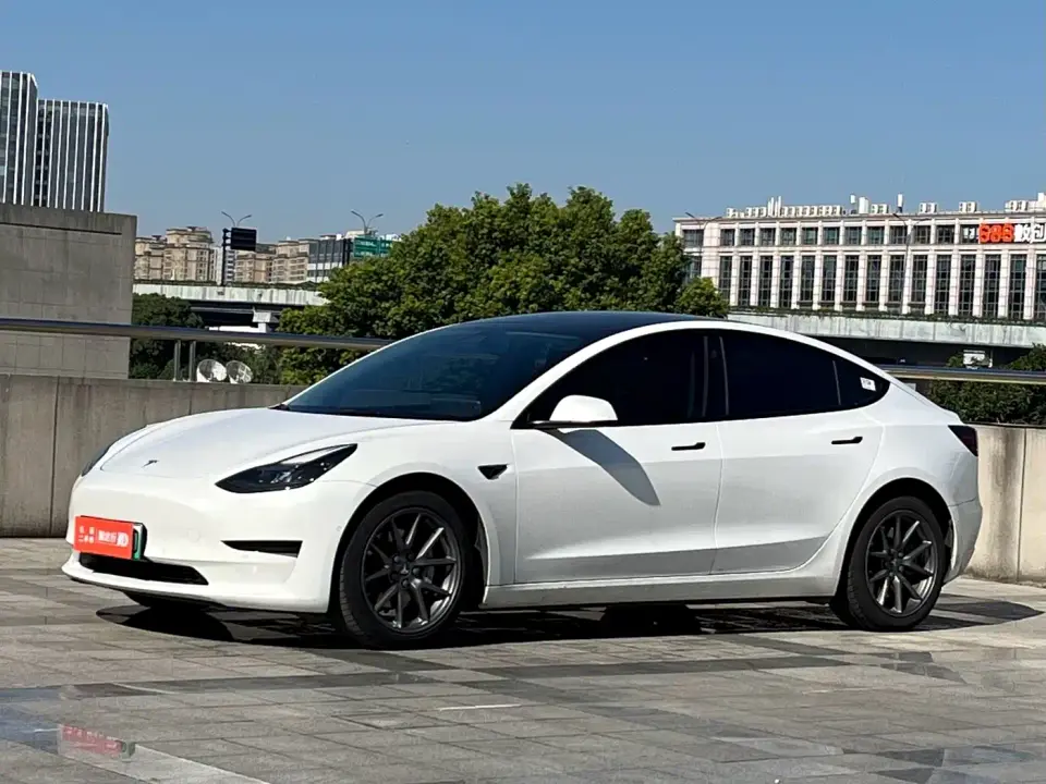 Tesla Model 3 Standard Range Rear-Wheel Drive Upgrade 3D6 2021