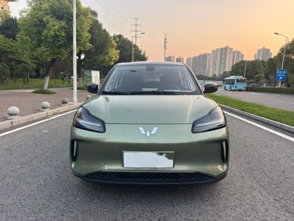 Wuling Motors Wuling Binguo PLUS 510km Range 5-seater 2024