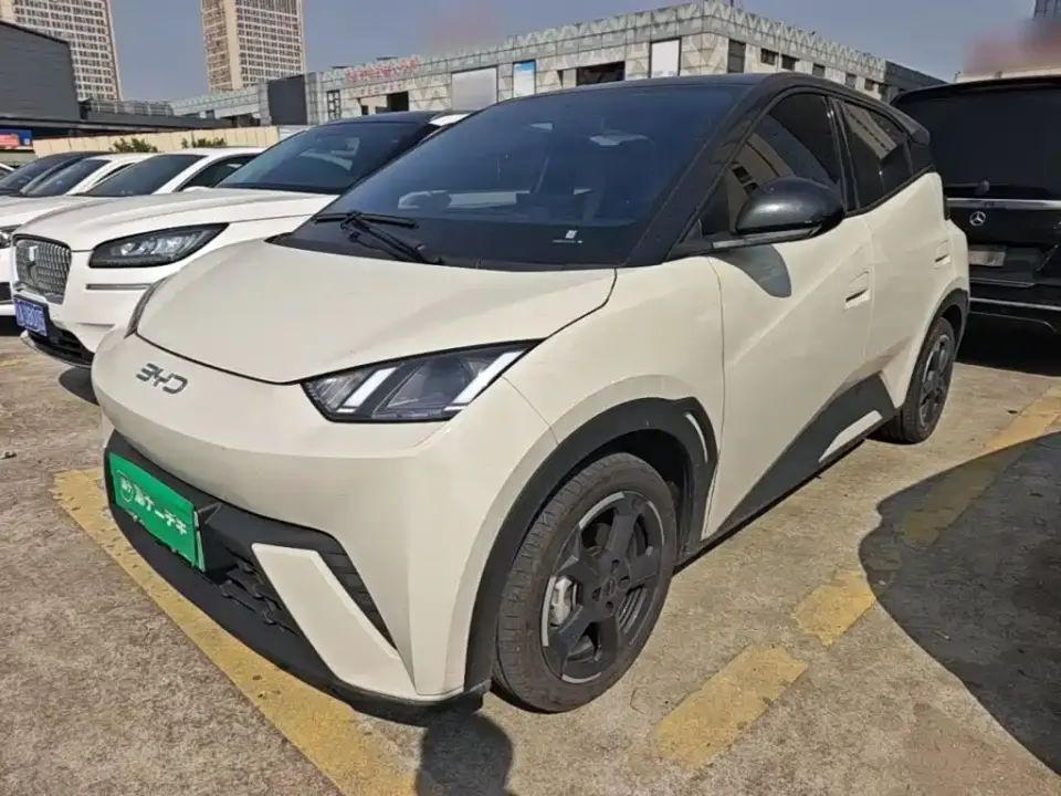 BYD Seagull Glory Edition 305km Freedom Edition 2024