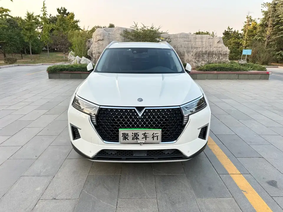 Venucia Star 260T Automatic 48V Mild Hybrid Turbo Star Enjoy Edition 2020