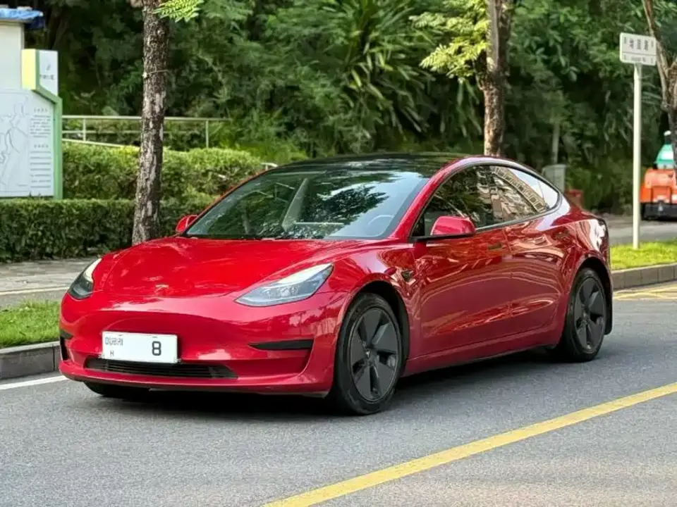 Tesla Model 3 Standard Range Rear-Wheel Drive Upgrade 3D6 2021