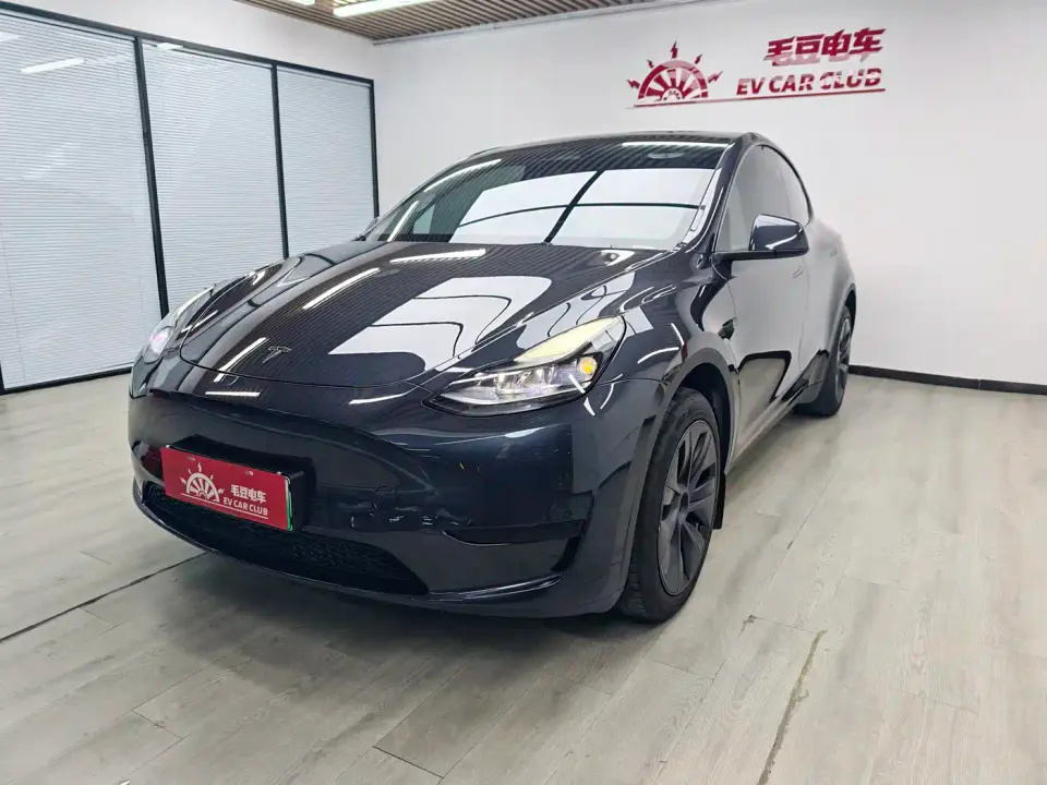 Tesla Model Y Rear-Wheel Drive Version 2024
