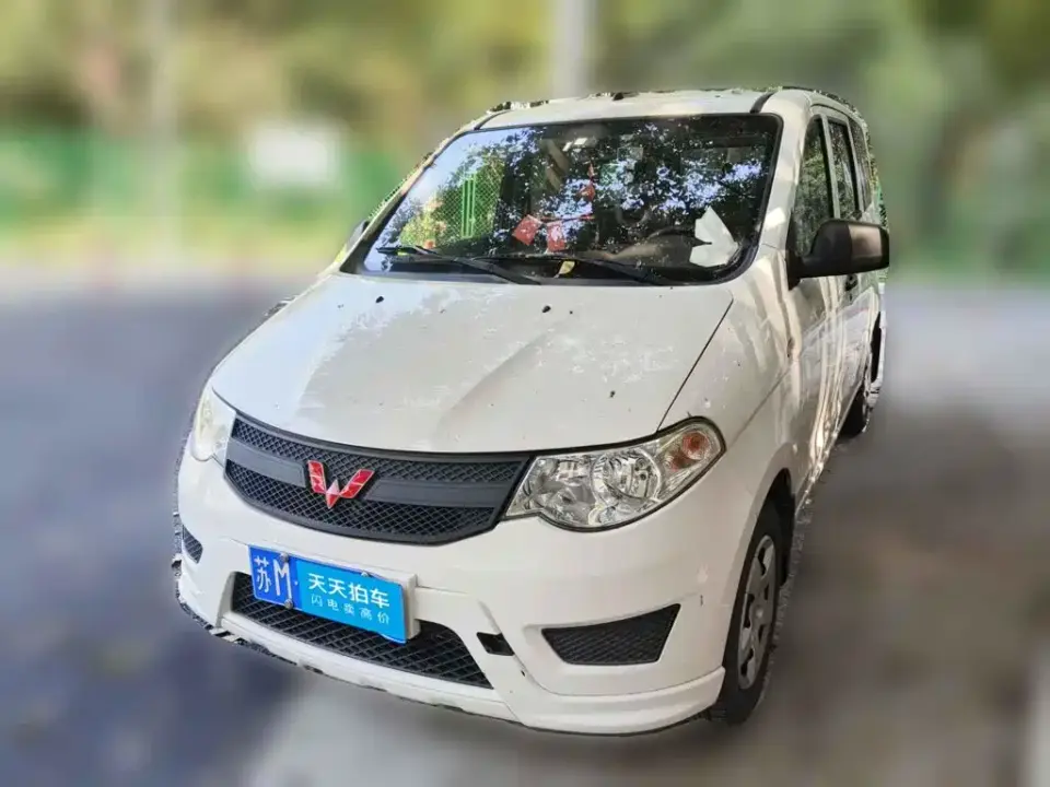 Wuling Motors Wuling Hongguang 1.2L S Basic China VI LSI 2021
