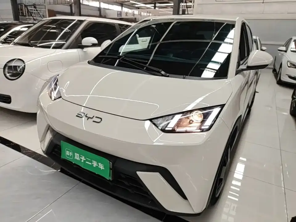 BYD Seagull 305km Vitality 2024