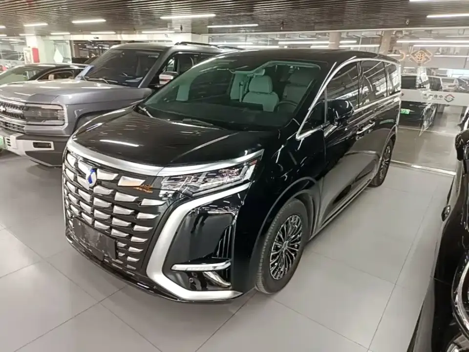 Denza D9 DM-i 1050 Premium 2024