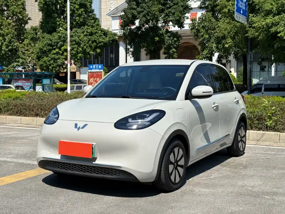 Wuling Motors Wuling Bingo Model 333km Joy+ Version 2023