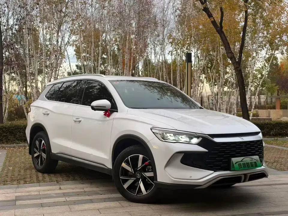 BYD Song Pro New Energy Glory Edition DM-i 71KM Pilot 2024