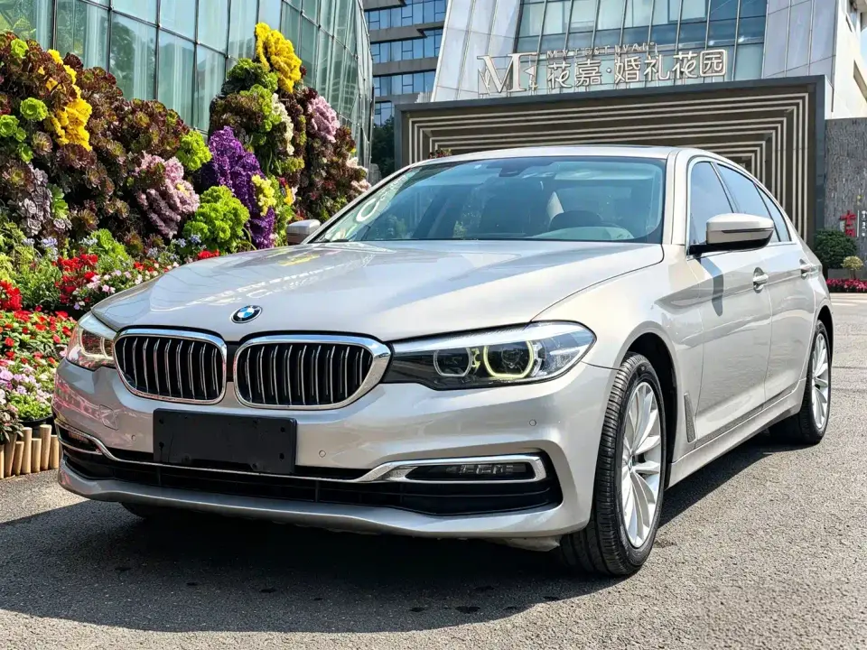 BMW 5 Series 530Li Leading Luxury Package 2019