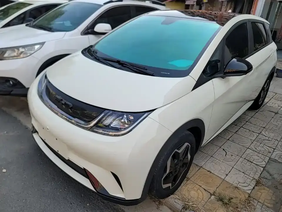 BYD Dolphin Model 405km Fashion Edition 2022