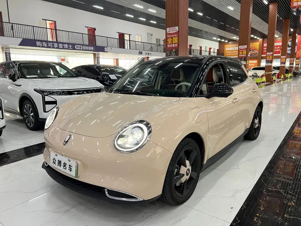 ORA Good Cat 401km Luxury 2024