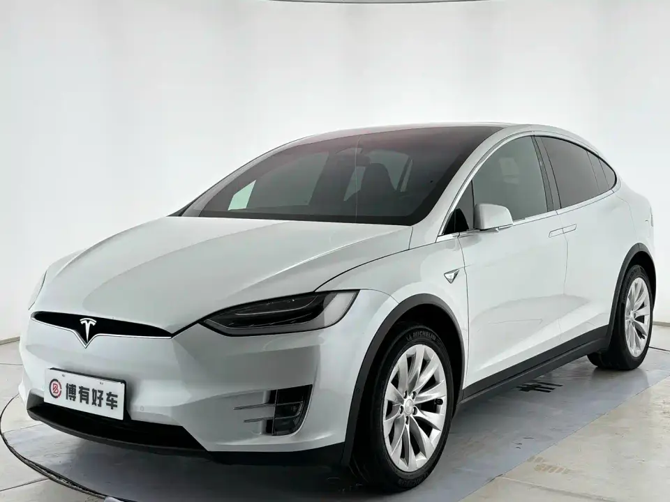 Tesla Model X Model X 75D 2019