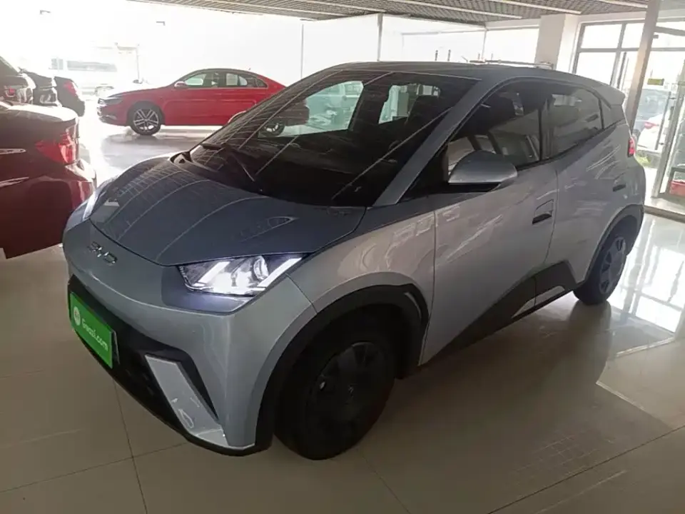 BYD Seagull Glory Edition 305km Vitality Edition 2024