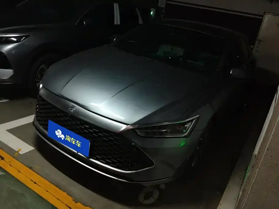 BYD Qin PLUS Glory Edition DM-i 55KM Leading 2024