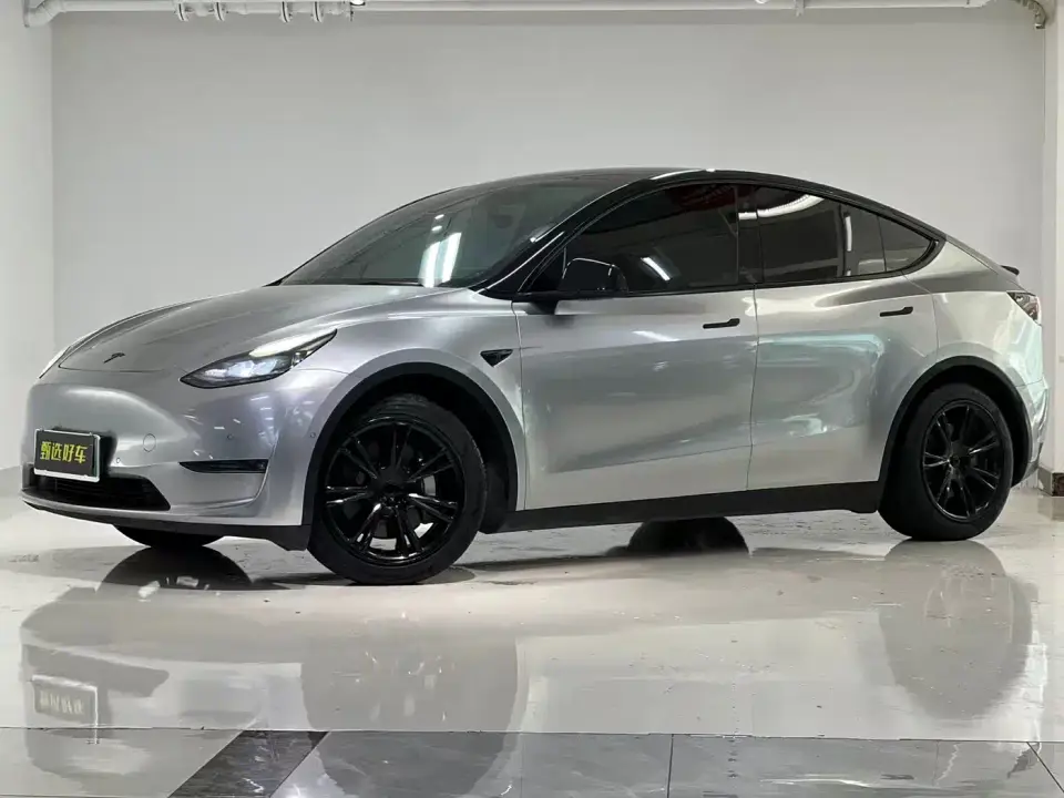 Tesla Model Y Rear-Wheel Drive Version 2022