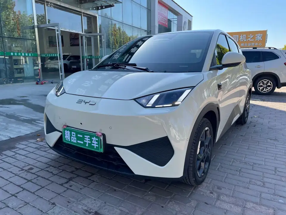 BYD Seagull 2026