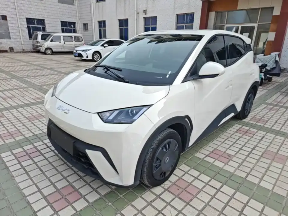 BYD Seagull Glory Edition 305km Vitality Edition 2024