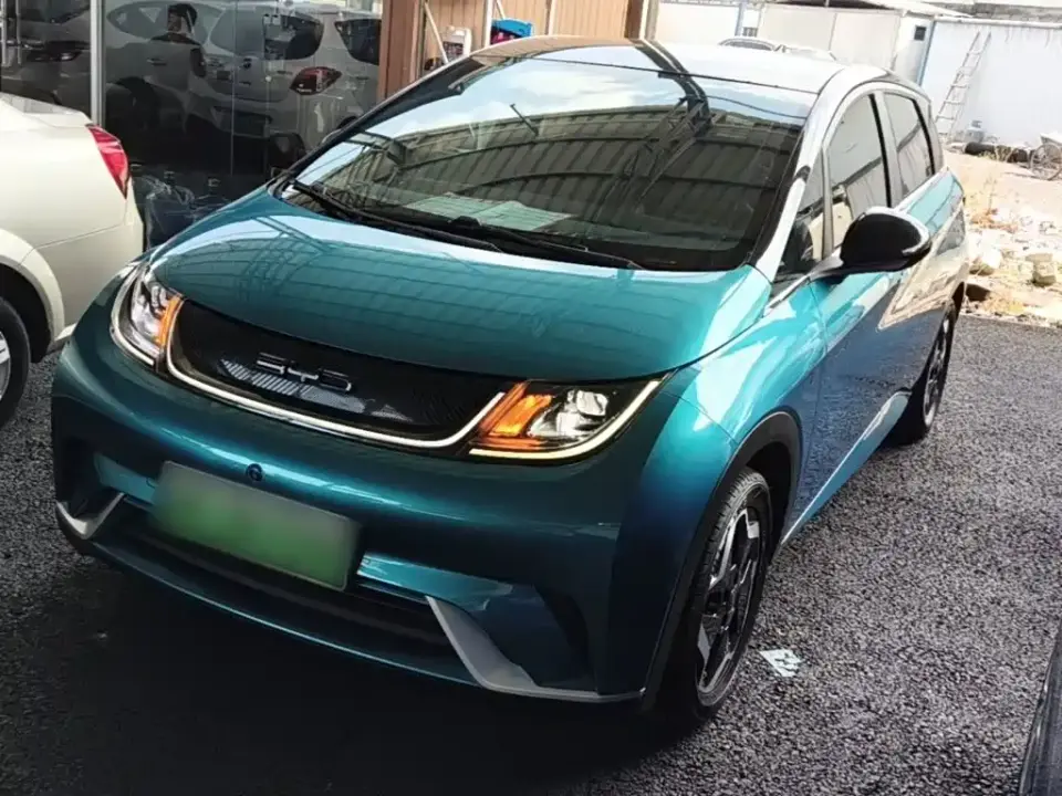 BYD Dolphin Model 405km Fashion Edition 2022