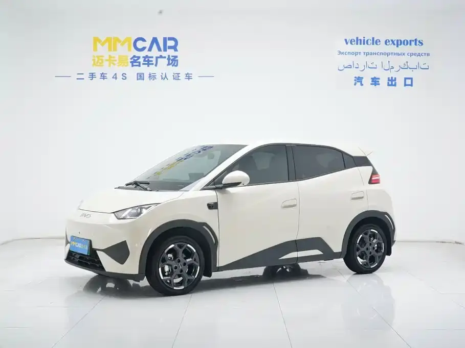 BYD Seagull 305km Freedom 2025