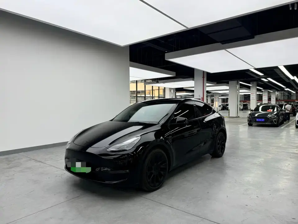 Tesla Model Y Model Long Range AWD 2021