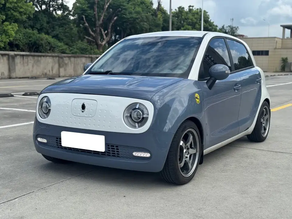 ORA Black Cat 351km Standard Model 2021