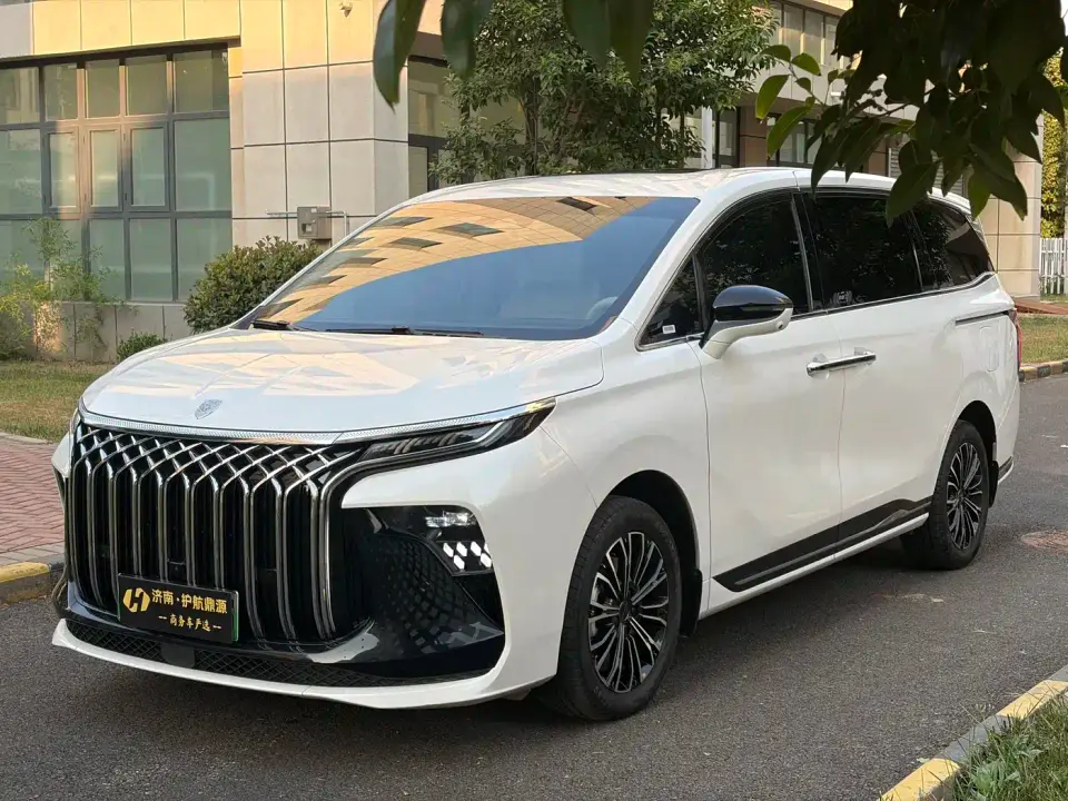 Dongfeng Fengxing Starlight V9 1.5TD 200km Chinese Knot Series Exclusive 2024