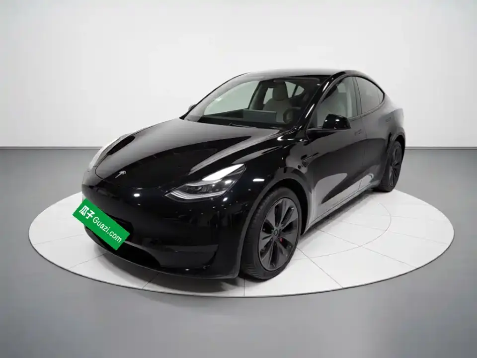 Tesla Model Y Long Range All-Wheel Drive Edition 2024