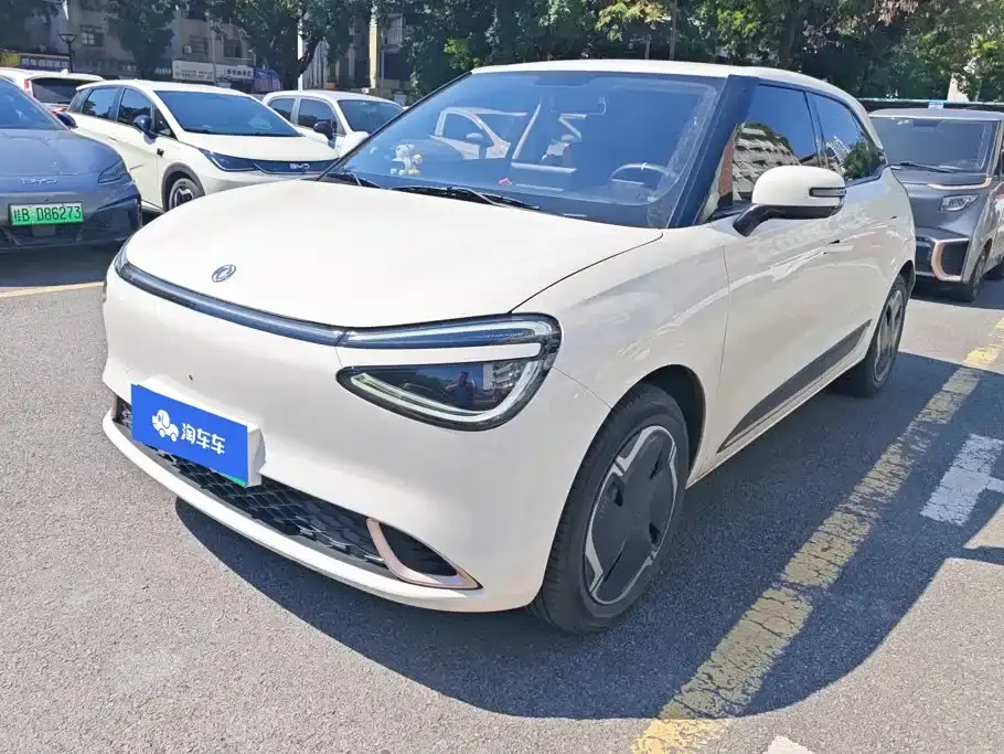 Dongfeng Yipai Nano 01 330 Plus Smart+ 2024