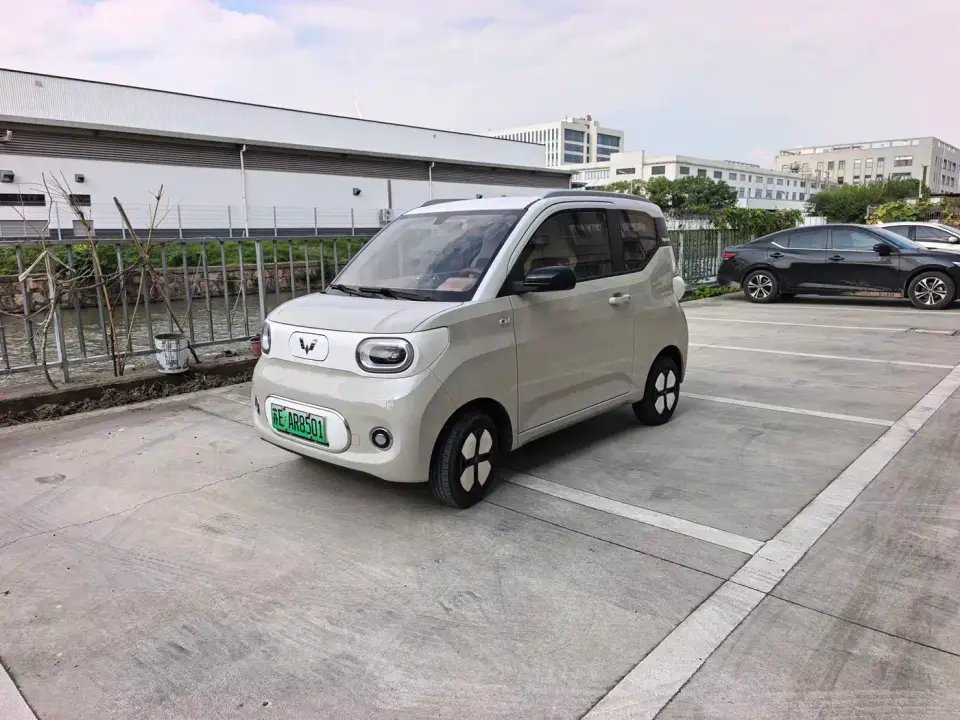 Wuling Motors Wuling Bingo 203km Comfort Version 2024