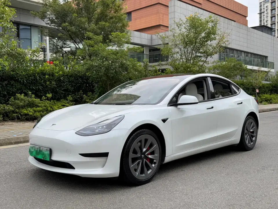 Tesla Model 3 Model Rear-Wheel Drive Version 2022
