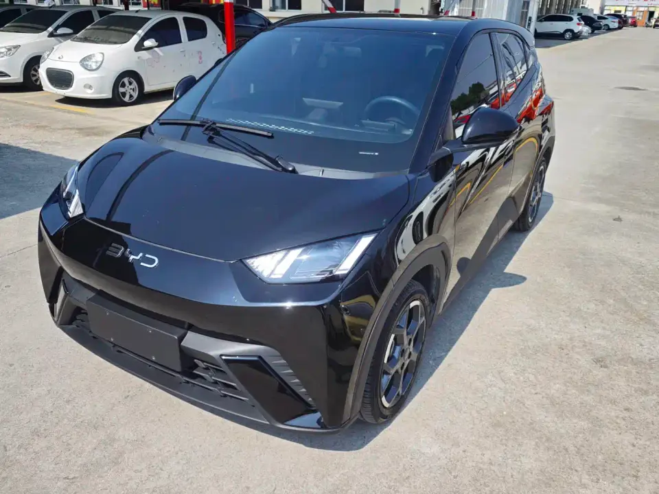 BYD Seagull Glory Edition 305km Freedom Edition 2024